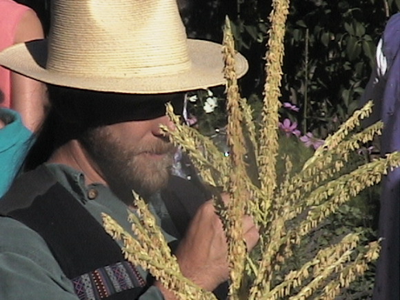 Ted Lockery with corn