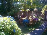 Sunday front yard